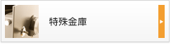 特殊金庫